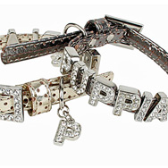 HALSBAND OCH KOPPEL