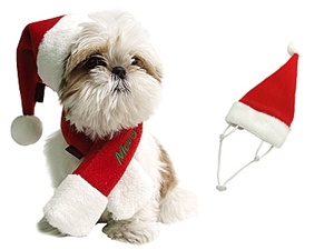 PUPPIA - SANTA'S SCARF