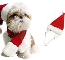 PUPPIA - SANTA'S SCARF