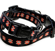 PAUL FRANK - DEVIL JULIUS HALSBAND