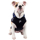 PUPPIA  - LOVE BOAT - bild 12