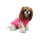 PUPPIA  - LOVE BOAT - bild 6