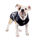 PUPPIA  - LOVE BOAT - bild 11
