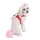 PUPPIA - DIAMOND HARNESS B - bild 2